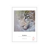 HAH10641611-LANG1-51174c33-8dc7-4b80-a142-563a1d36c1d7