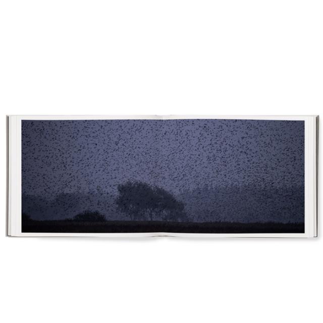 BLACK SUN - SØREN SOLKÆR - SIGNERET UDGAVE
