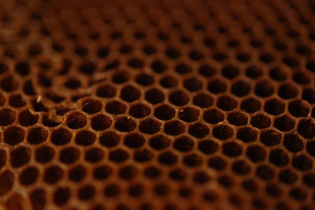 CANON RF 85MM F/2,0 MACRO IS STM