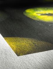 HAHNEMÜHLE CANVAS ARTIST 24