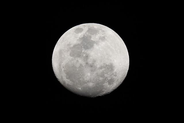 CANON RF 200-800MM F/6,3-9 IS USM
