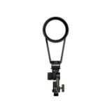 PROF101130-LANG1-205ef02d-6ada-4540-bffd-fec967deb705