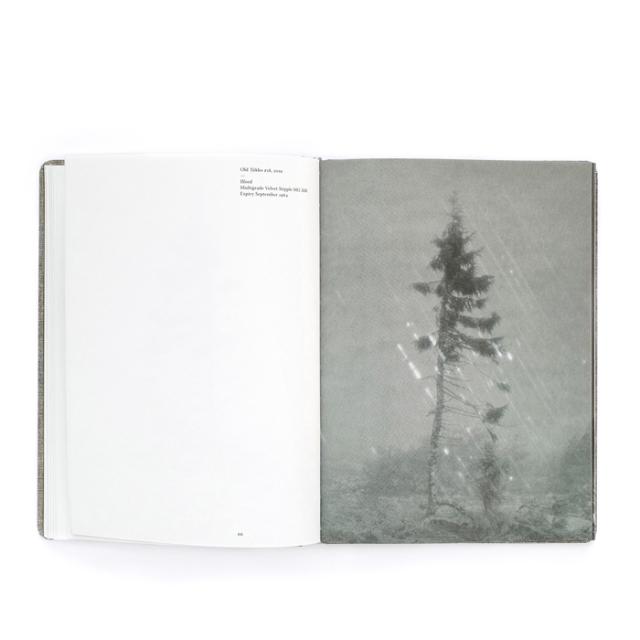 OLD TJIKKO - NICOLAI HOWALT