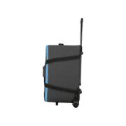 NANLUX EVOKE 1200B SPOT BI-COLOR KIT WITH TROLLY