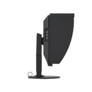 EIZO 24