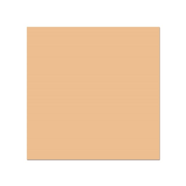 COLORAMA 1100 CARAMEL 2.72X 11 M.