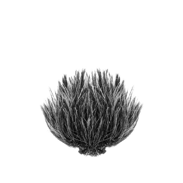 SARAMONIC BLINK 500 PRO FUR WINDSCREEN