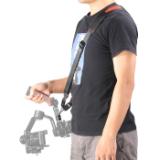 S2466-LANG1-97826510-afa1-499a-b34c-bde5f53a11ac
