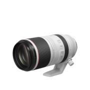 CANON RF 100-500MM F/4,5-7,1L IS USM