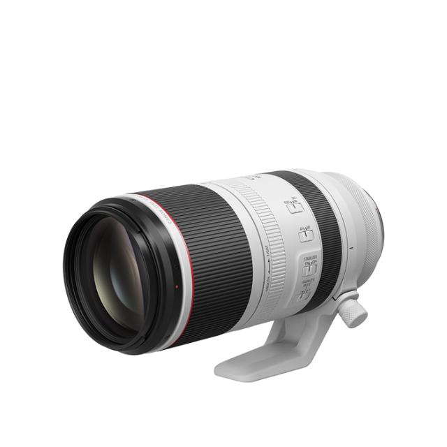 CANON RF 100-500MM F/4,5-7,1L IS USM