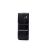 FXLIONBP250S-LANG1-c65b00a8-bd26-4eb7-bd07-55cef5c425f5