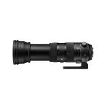 SIG150600NIK-LANG1-c7685cf1-a47f-4ff1-be4b-812f4c5971f6