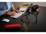 JOB105287-LANG1-d7148ca6-9fdb-4bfc-8baf-8a80c32e61da