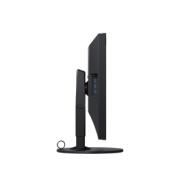 EIZO 31