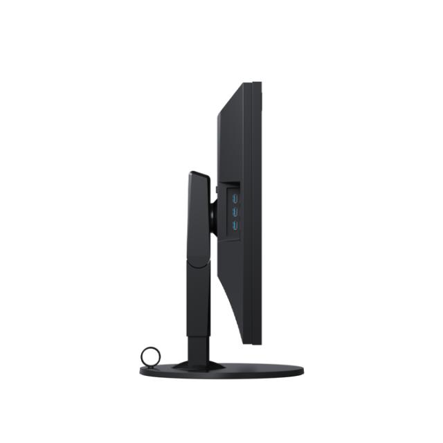 EIZO 31