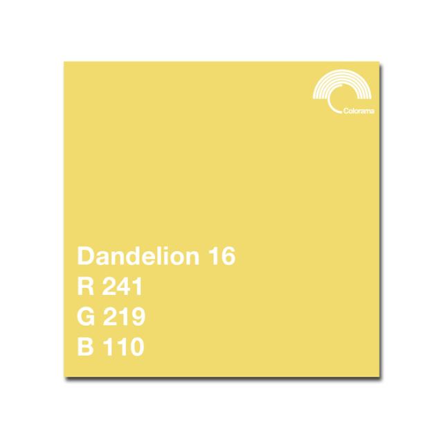 COLORAMA 116 DANDELION 2.72 X 11 M.