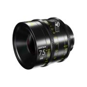 DZO VESPID CYBER FF KIT (35,50,75MM) T2.1 PL/EF