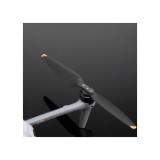 DJI489563-LANG1-f81fd7b8-41c0-4a67-9e3c-9caf2549aa79